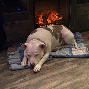 Meet your Posher, Amie